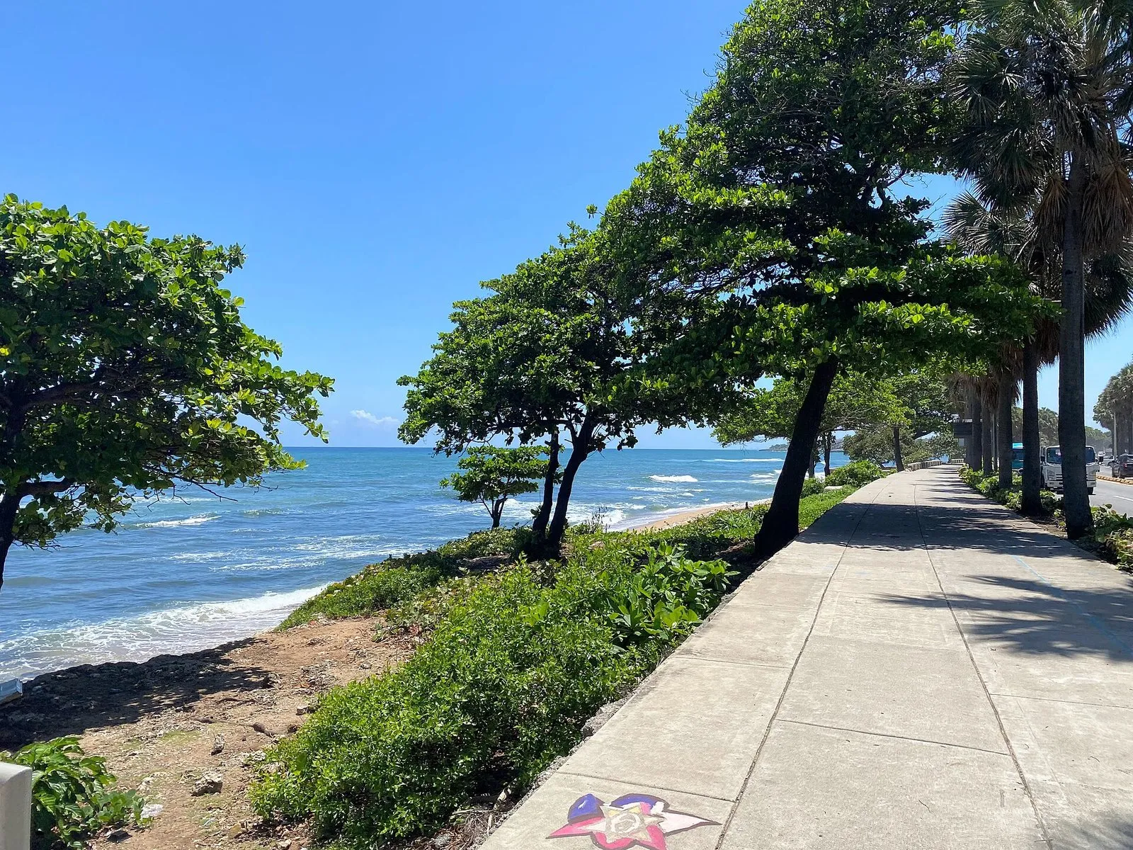 Paseo del Malecón de Santo Domingo junto al mar Caribe, con árboles y palmeras (imagen ilustrativa, 2024)