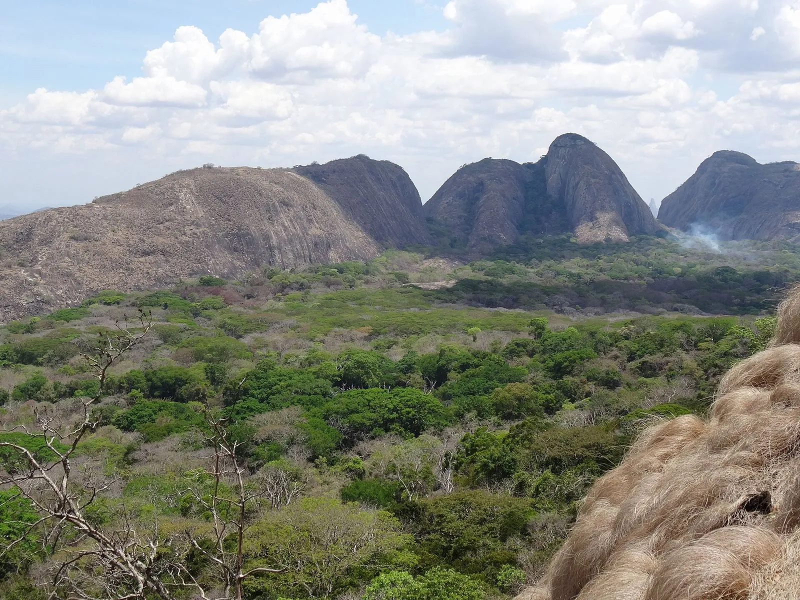 Paisaje de montañas y vegetación en Erati, norte de Mozambique